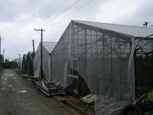 IMG_6889.jpg