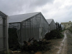 IMG_6891.jpg