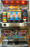 wildcats1.jpg