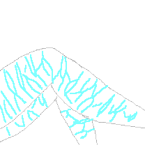 070630b.GIF