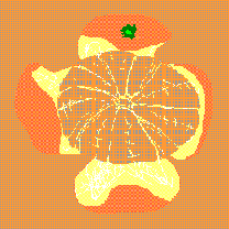 080112a.GIF