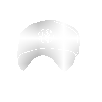 080303a.GIF