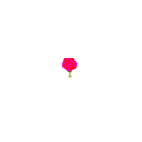 080308.GIF