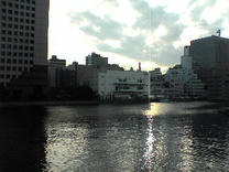081016b.JPG