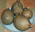 Haggis2.jpg