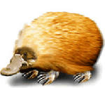 haggis.jpg