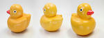 ducks.jpg