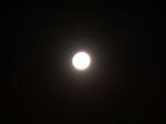 a61159de.jpg