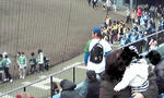 798906f5.JPG