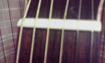 PA0_0138.JPG