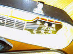 PICT0007.jpg