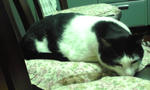 PA0_0395.JPG