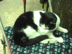 PA0_0075.JPG