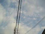 37316594.jpg