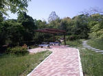 d026c7dd.jpg