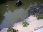 a167283d.jpg