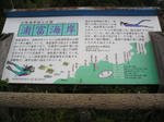 69a1b174.jpg