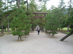 abc30323.jpg