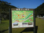 4e1173e0.jpg