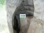 19e3f285.jpg