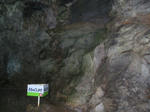 6338a2d0.jpg
