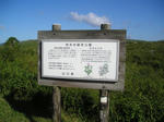 720b05d0.jpg