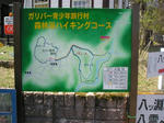 2bdeae11.jpg