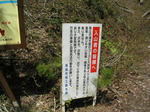 2354f0a8.jpg