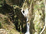 51681913.jpg