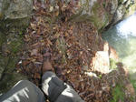 f7865681.jpg