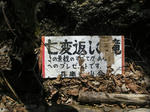 a5f726f9.jpg