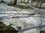 40970d96.jpg