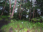 2d39875a.jpg