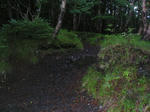 3c627793.jpg