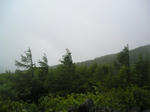 c219cd4b.jpg