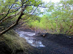 d039d74c.jpg
