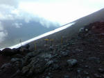 696aa007.jpg