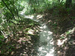 d4296000.jpg