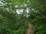 22c85a48.jpg