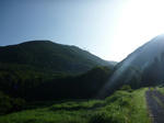 b1d83e83.jpg