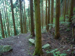 87e99567.jpg