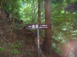 02463df2.jpg