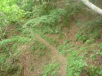 f6676c41.jpg
