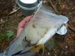 29a35ab8.jpg