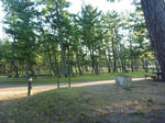 b0462037.jpg