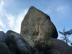 787619d1.jpg