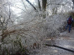 cd2547d2.jpg