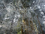 f0874736.jpg