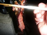 7cd1aa62.jpg