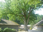 e525aa78.jpg